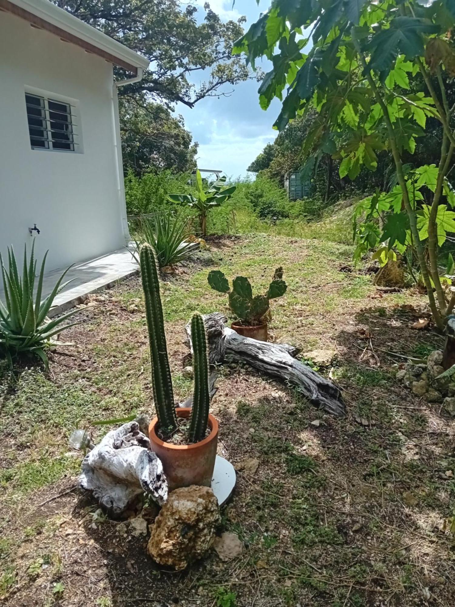 Kazacactus-Villa 3 Chambres Piscine Marie-Galante Beausejour Exterior foto